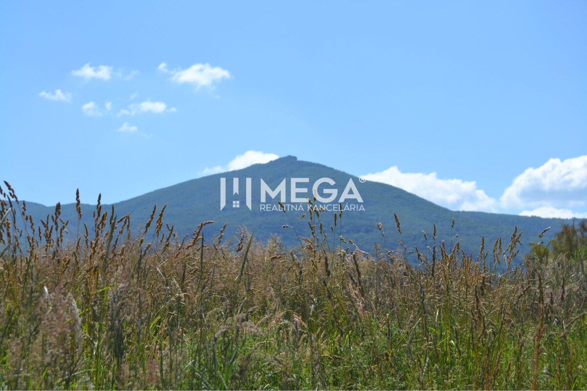 NOVÁ CENA-PREDAJ POZEMKU Zemplínske Hámre (2918 m2) — foto 4