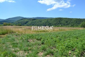 NOVÁ CENA-PREDAJ POZEMKU Zemplínske Hámre (2918 m2) — foto 3