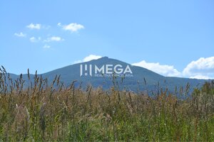 NOVÁ CENA-PREDAJ POZEMKU Zemplínske Hámre (2918 m2) — foto 4