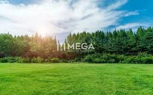 NA PREDAJ - INVESTÍČNÉ LESNÉ POZEMKY V OKOLÍ MESTA HUMENNÉ — foto 1