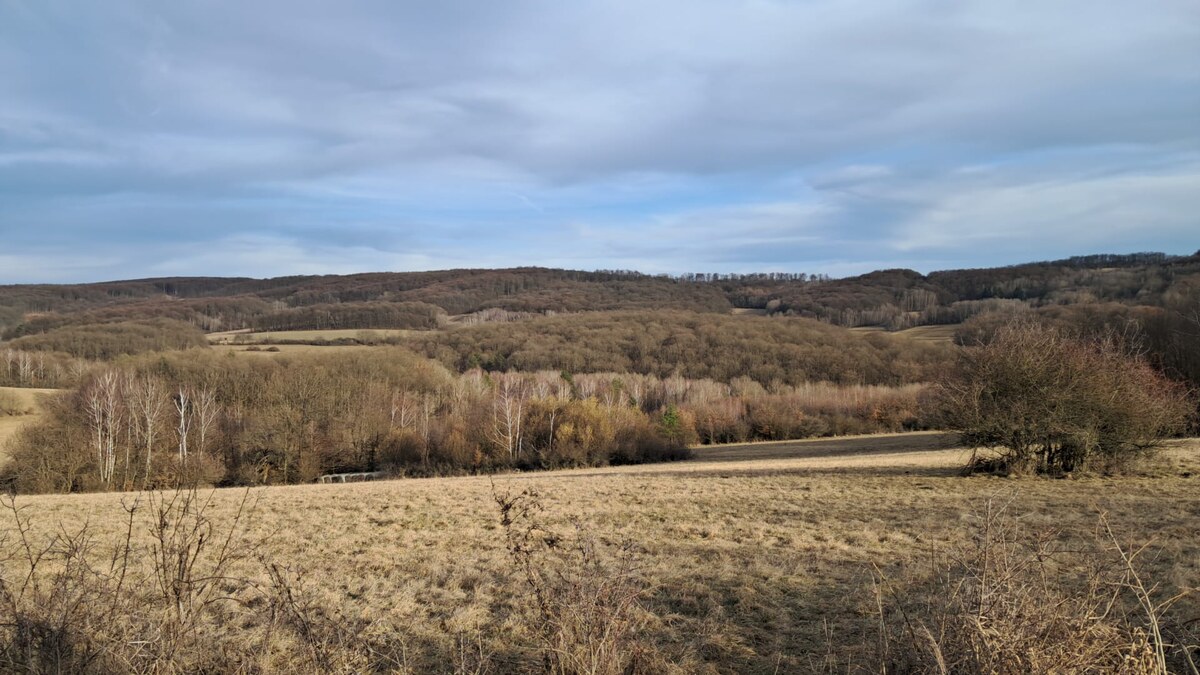 Rodinný dom 3825m2 s historickou dušou Zvolen Krupina Čekovce — foto 11