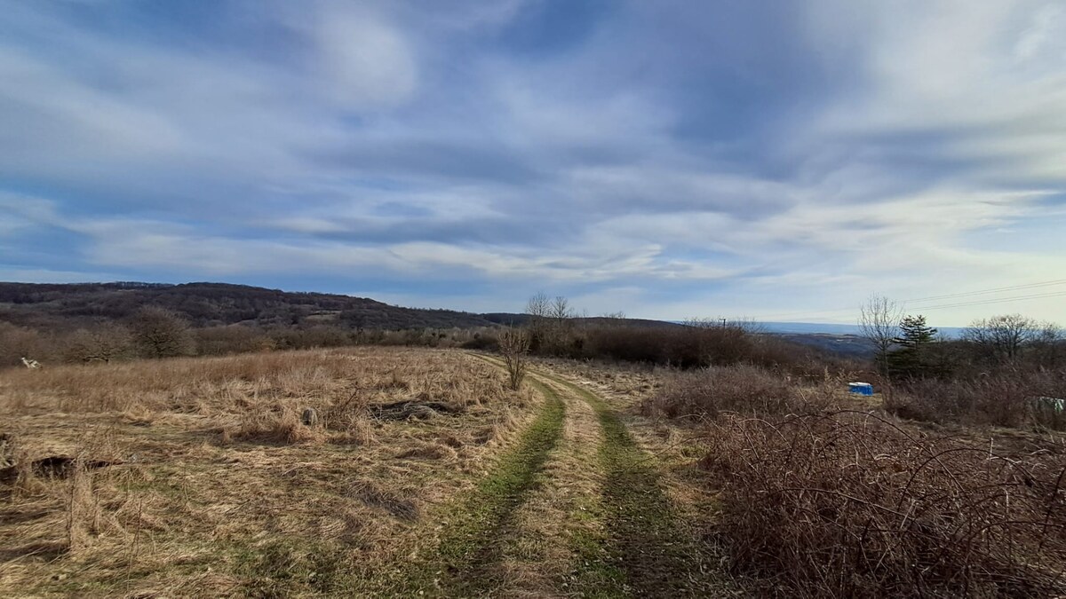 Rodinný dom 3825m2 s historickou dušou Zvolen Krupina Čekovce — foto 13