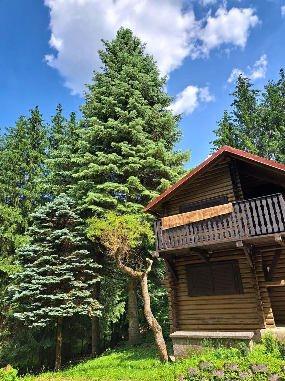 Rekreačná chata 661 m2 Zvolen Môťovská priehrada na predaj — foto 15