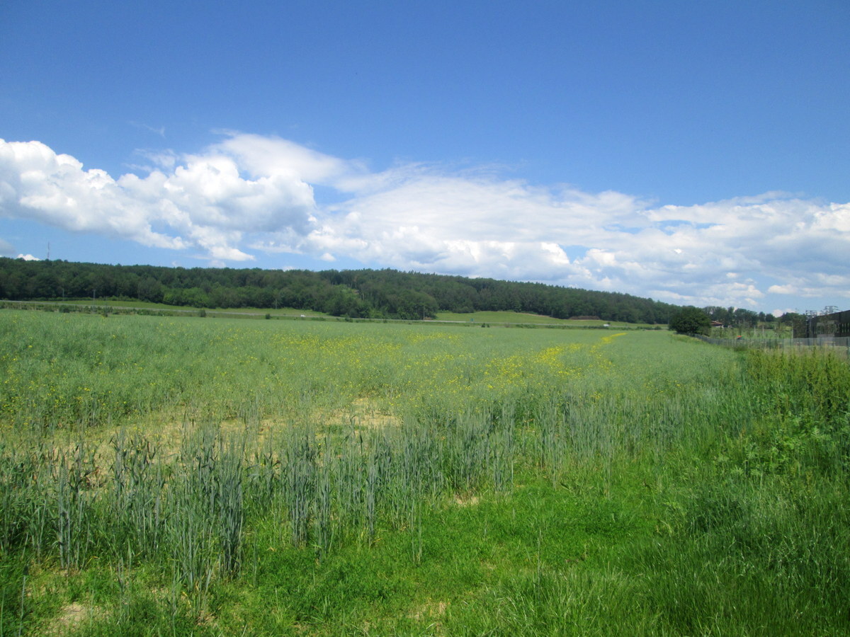 Investičná príležitosť ! Pozemky na predaj 31 124 m2, Zvolen — foto 10