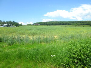 Investičná príležitosť ! Pozemky na predaj 31 124 m2, Zvolen — foto 4