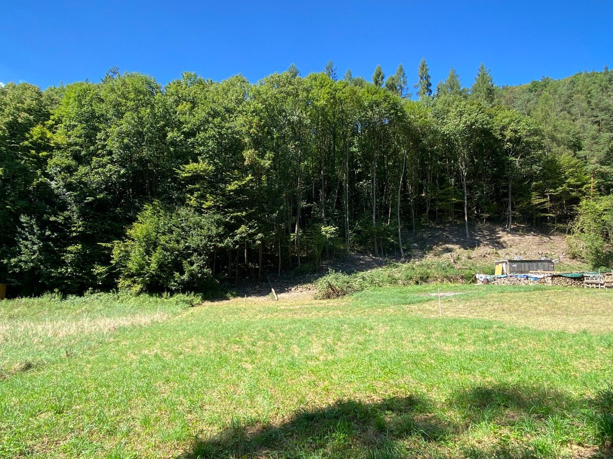 VŠETKY POZEMKY PREDANÉ  699m2 Zvolen Hronská Dúbrava — foto 16