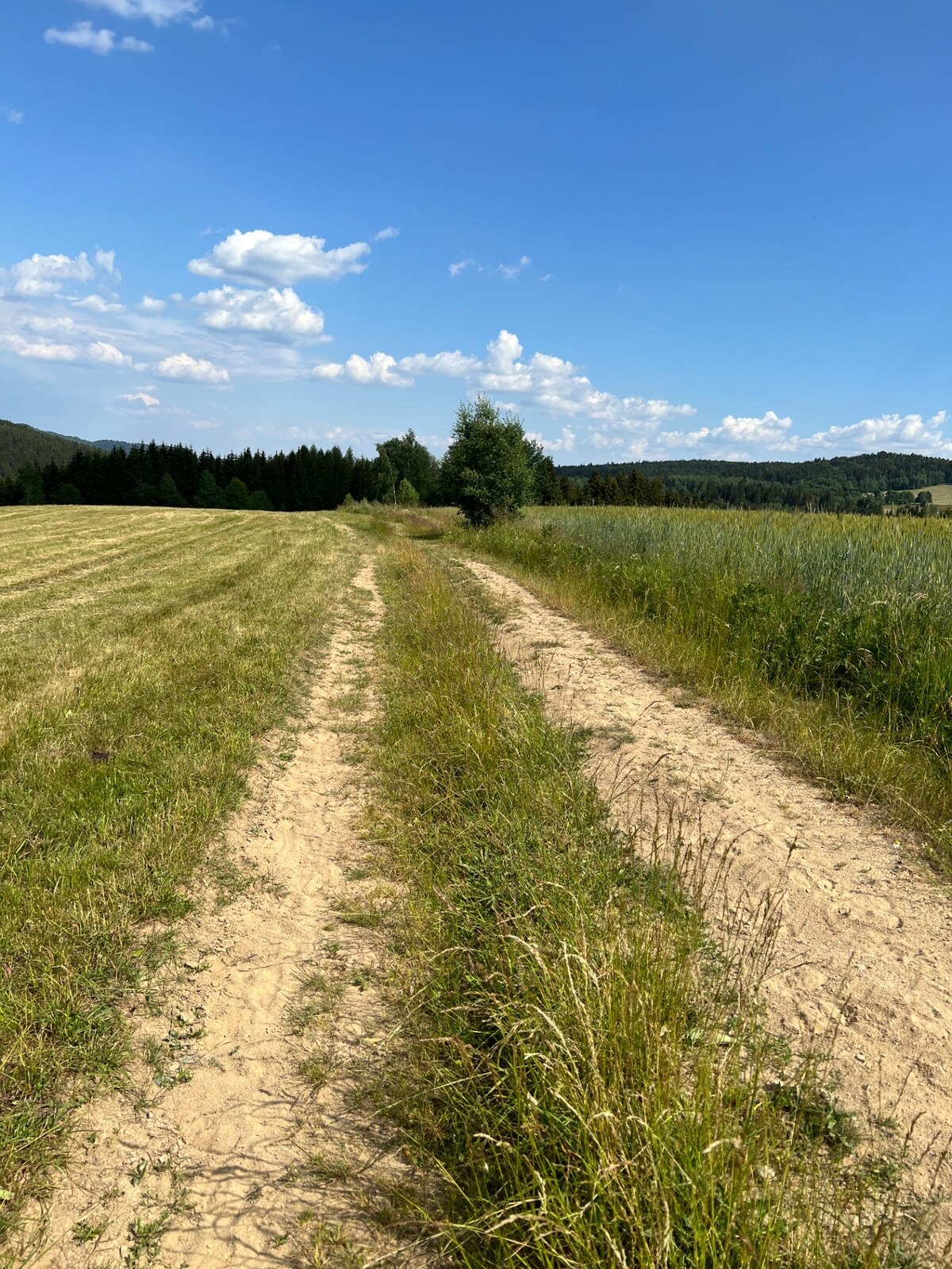 Pozemok na predaj, 4993 m2, Látky - Nový svet — foto 4