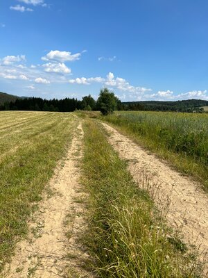 Pozemok na predaj, 4993 m2, Látky - Nový svet — foto 4