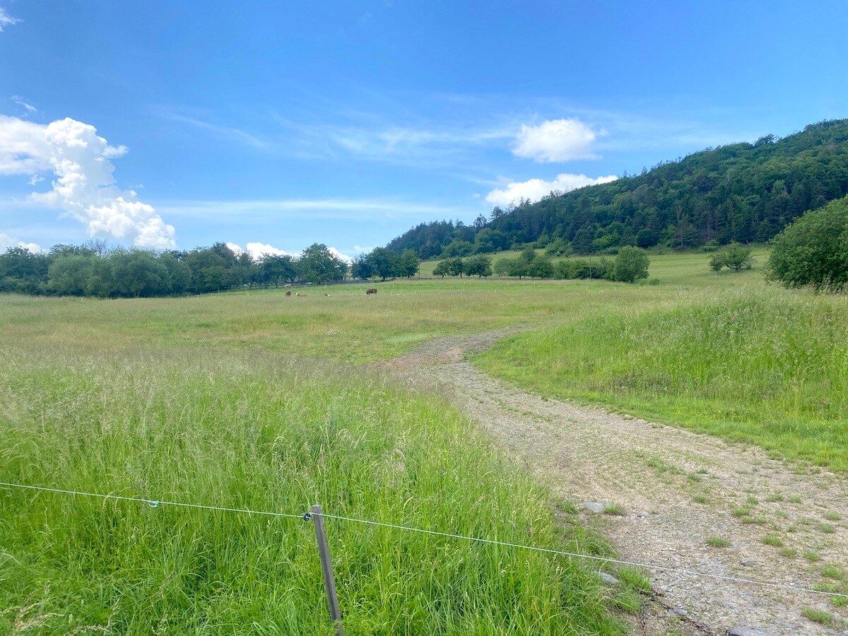 Stavebný pozemok pre vidiecke sídlo, 13 237 m2, Slatinské Lazy — foto 13