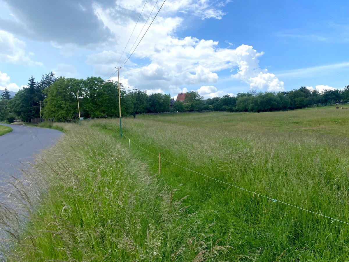 Stavebný pozemok pre vidiecke sídlo, 13 237 m2, Slatinské Lazy — foto 5