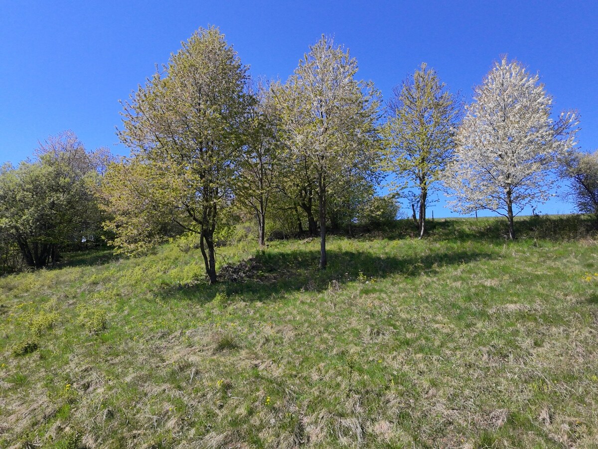 Pozemok 7900m2 Zvolen Detva Hriňová na predaj — foto 13