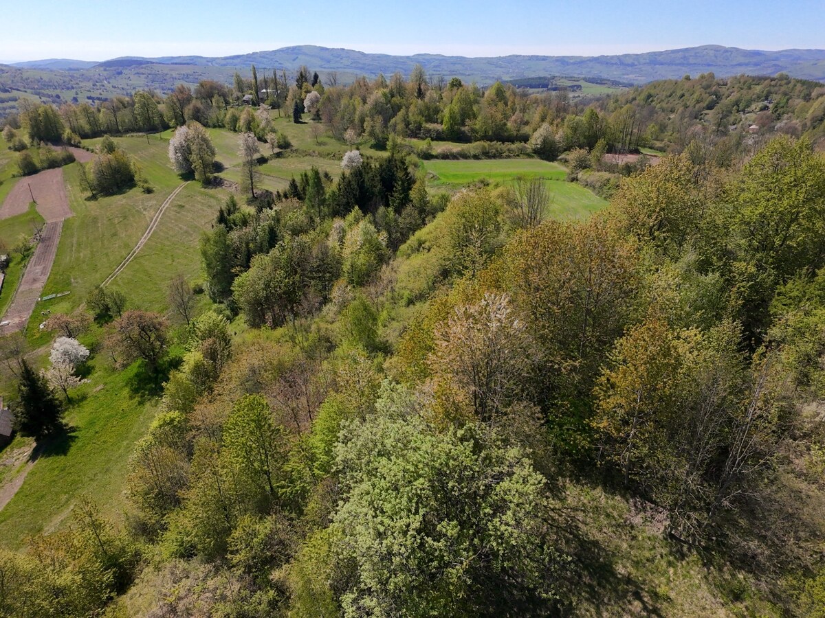 Pozemok 7900m2 Zvolen Detva Hriňová na predaj — foto 6