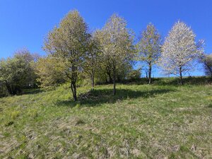 Pozemok 7900m2 Zvolen Detva Hriňová na predaj — foto 13