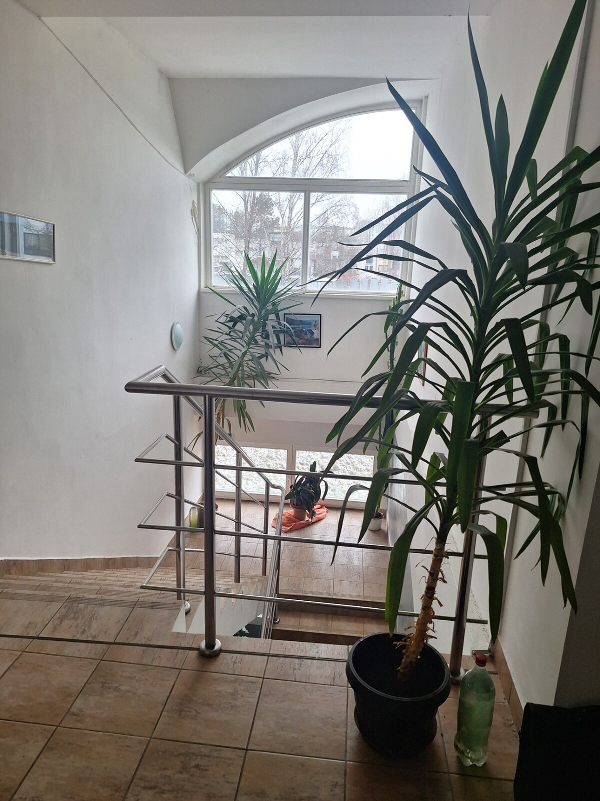 Kancelárie na prenájom,  15 + 15 m2,  Zvolen, Lieskovská cesta — foto 4