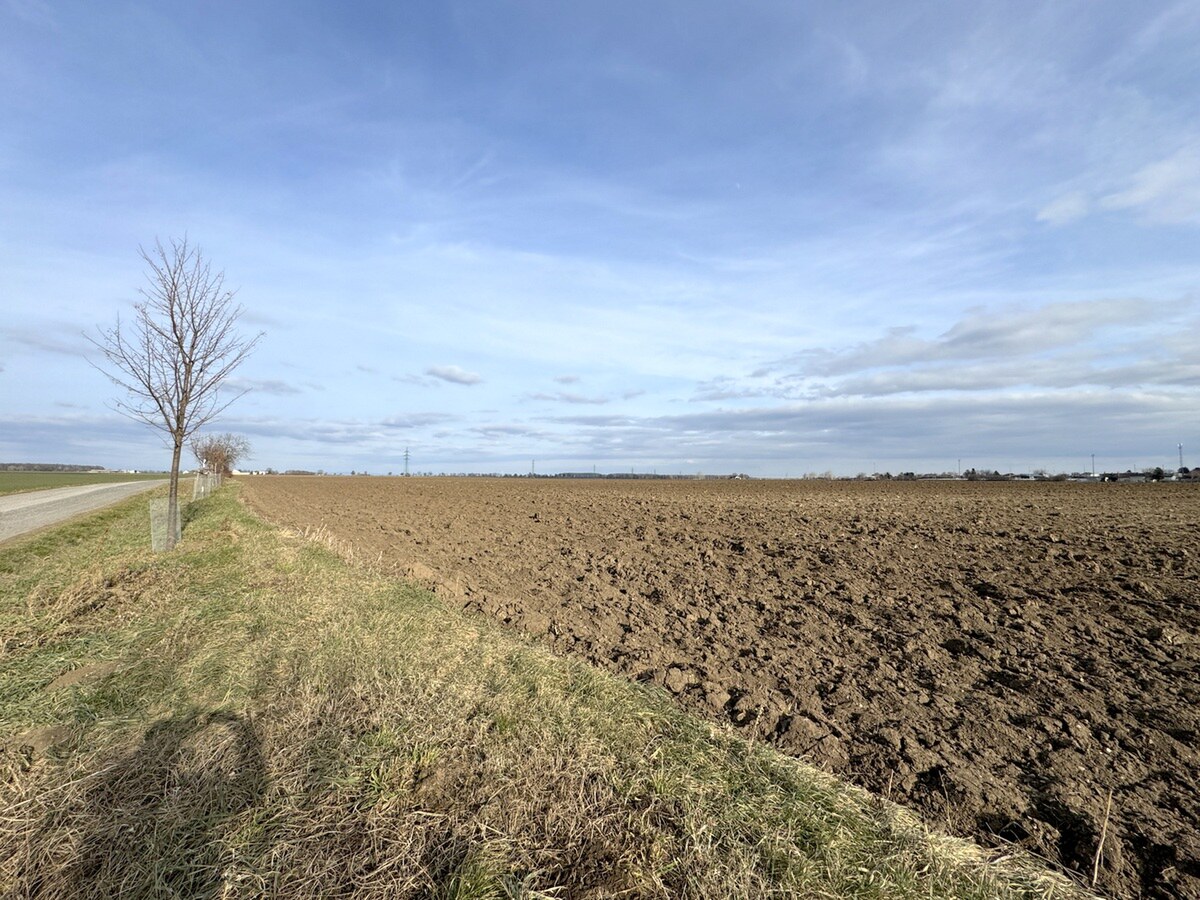 Investičný pozemok na predaj 51 028 m2 – obec Cífer — foto 5