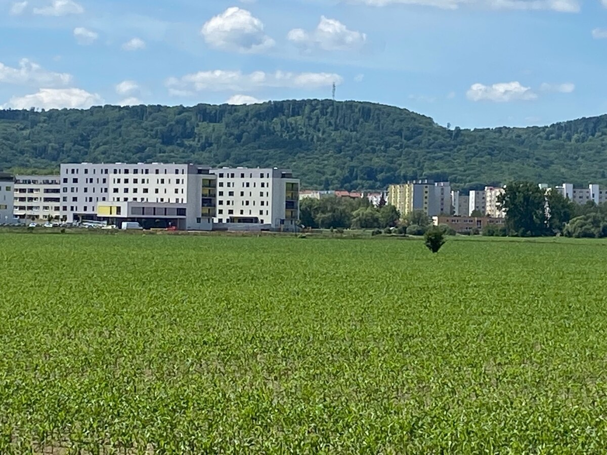 Pozemok  11 600 m2 na predaj,  Zvolen — foto 2