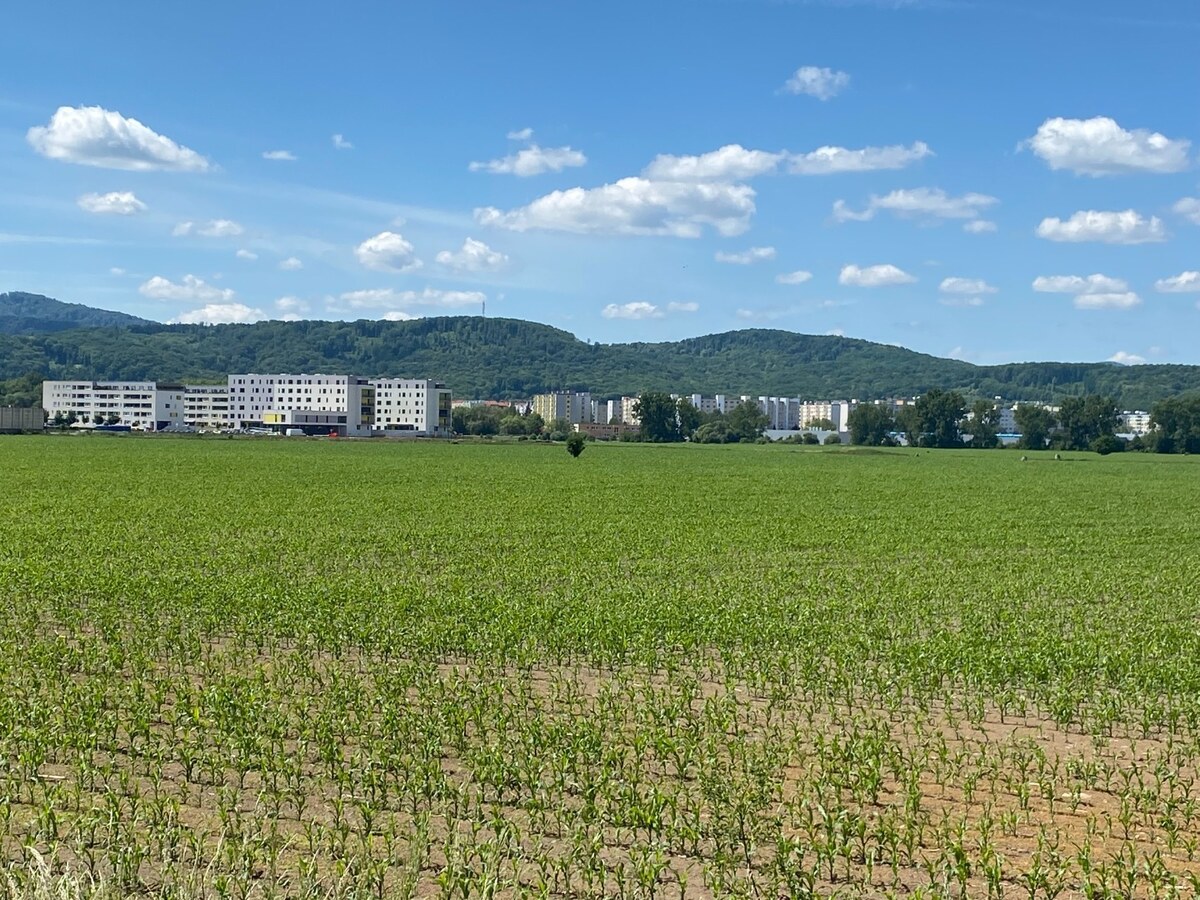 Pozemok  11 600 m2 na predaj,  Zvolen — foto 3
