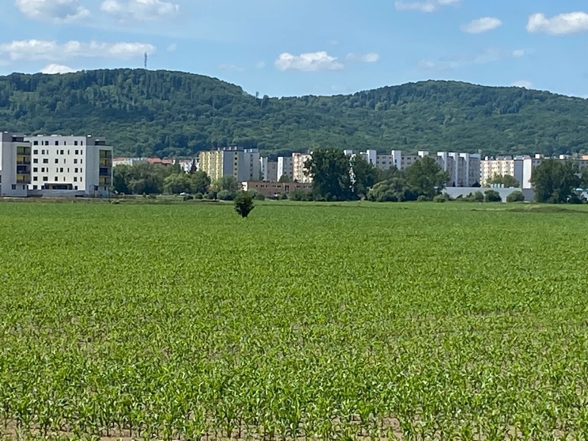 Pozemok  11 600 m2 na predaj,  Zvolen — foto 5