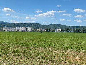 Pozemok  11 600 m2 na predaj,  Zvolen — foto 3