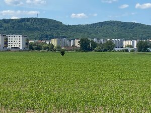 Pozemok  11 600 m2 na predaj,  Zvolen — foto 5