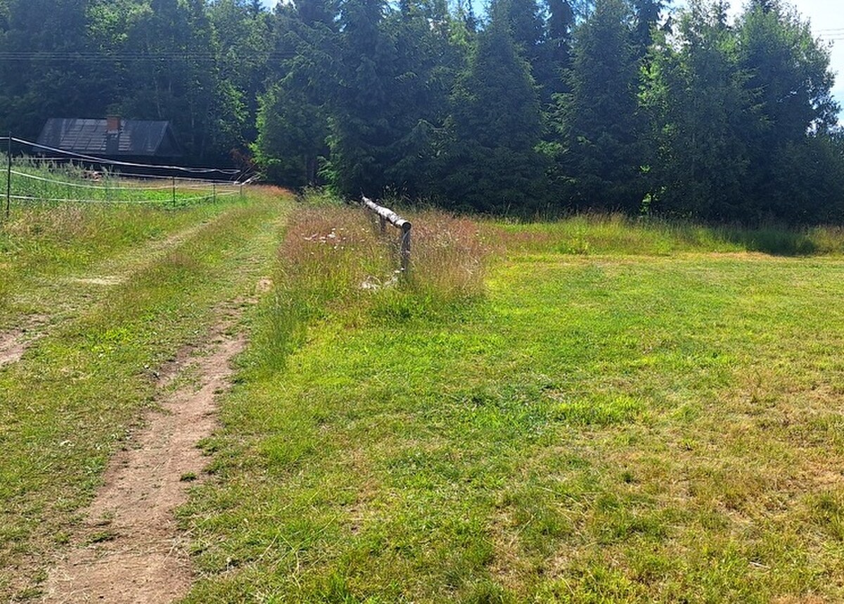 Pozemok 5058 m2  na predaj, Detvianska Huta — foto 3