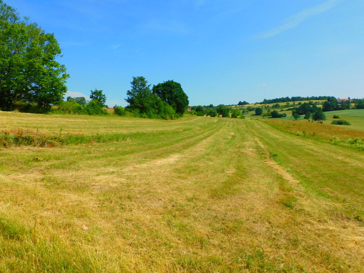 POZEMOK IDEÁLNY NA RELAX A ÚTEK Z REALITY, PRÍPADNE AKO INVESTÍCIA — foto 2