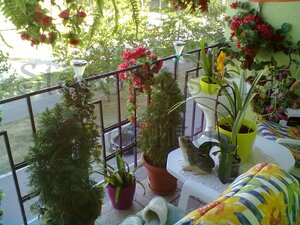 2-izb.82m2, 2p/3, čiastočná, Letná, St.mesto — foto 2