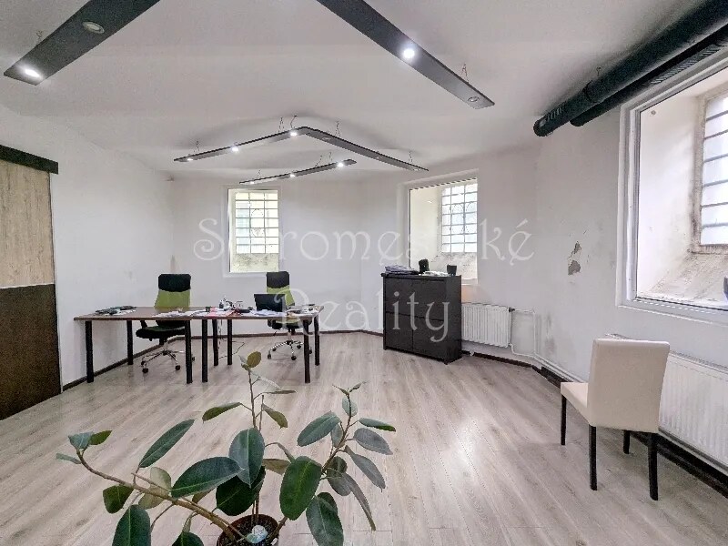 3-izb., 160m2, nebytový priestor Alžbetina — foto 5