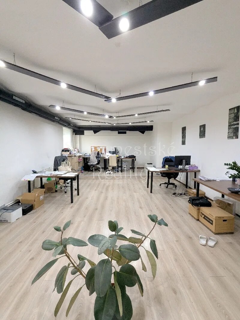 3-izb., 160m2, nebytový priestor Alžbetina — foto 7