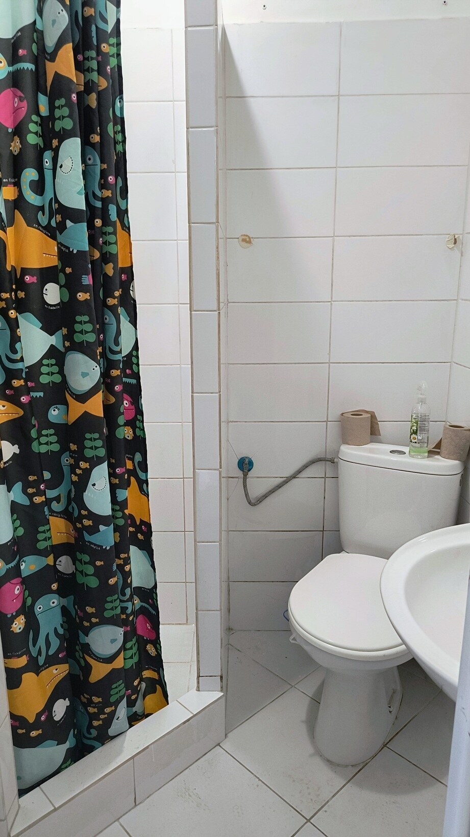 829c Garzónka Košice – centrum, ul. Masarykova — foto 2