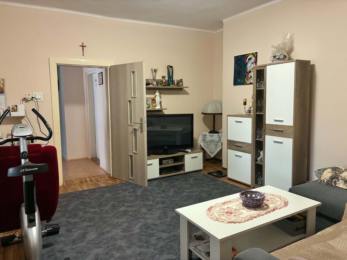 EXKLUZÍVNE | CHĽABA | RODINNÝ DOM S GARÁŽOU, ĎALŠOU BUDOVOU, VYVÝŠENOU ZÁHRADOU S NÁDHERNÝM VÝHĽADOM A 3 KLENBOVÝMI PIVNICAMI | 1 076 m² — foto 9