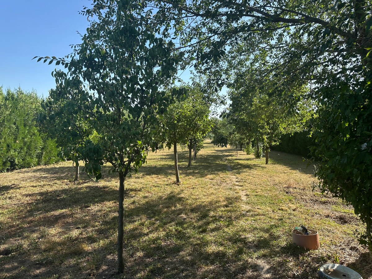 Novostavba rodinného domu +samostatná budova 157 m2-ideálne na bývanie aj podnikanie — foto 25