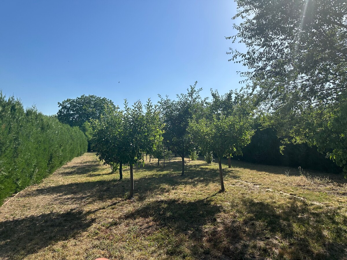 Novostavba rodinného domu +samostatná budova 157 m2-ideálne na bývanie aj podnikanie — foto 26