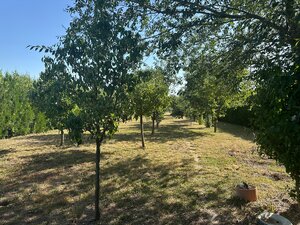 Novostavba rodinného domu +samostatná budova 157 m2-ideálne na bývanie aj podnikanie — foto 25