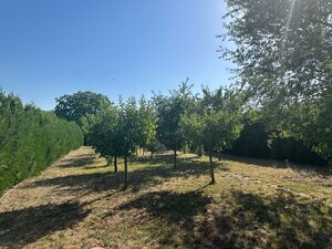 Novostavba rodinného domu +samostatná budova 157 m2-ideálne na bývanie aj podnikanie — foto 26