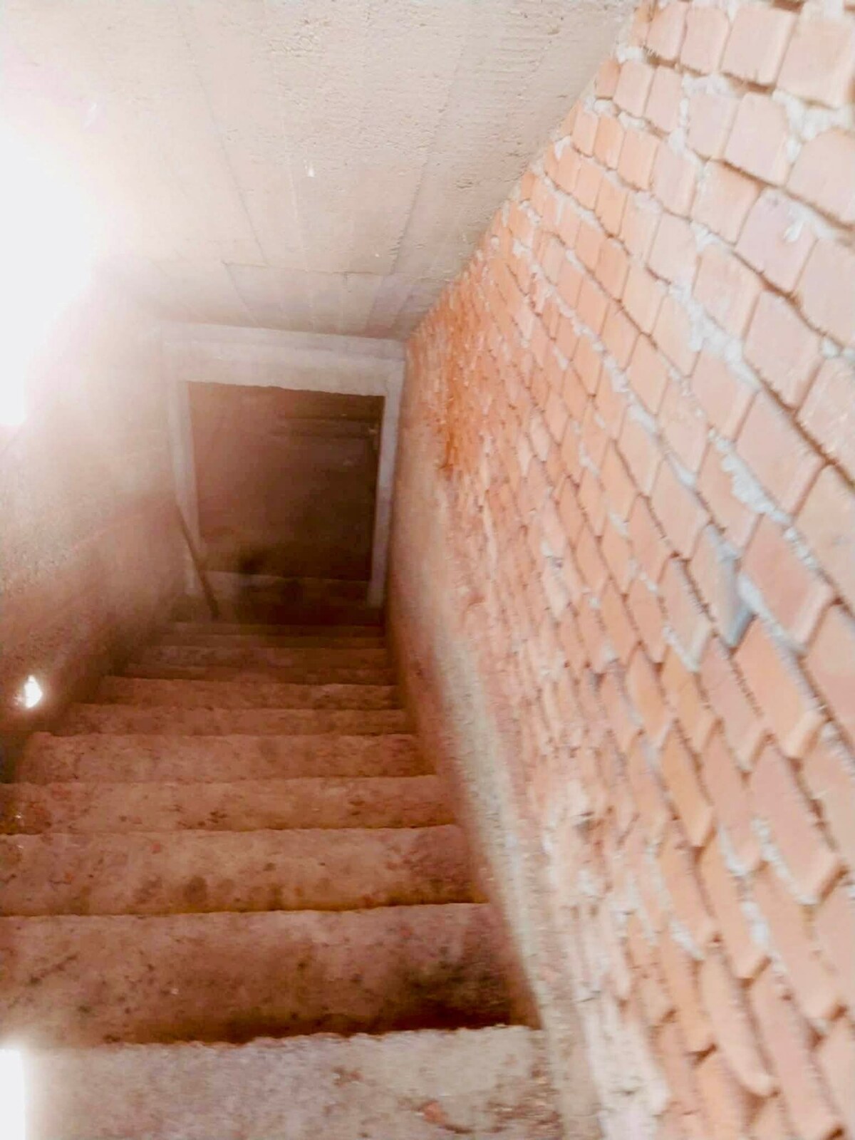 Vinica a sad s ovocnými stromami, pivnicou a unimobunkou – Kamenný Most, Hegyfarok - predaj, prípadne výmena — foto 6