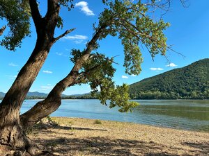 POZEMOK V BEZPROSTREDNEJ BLÍZKOSTI DUNAJA | CHĽABA | 649 m² | VÝNIMOČNÁ REKREAČNÁ LOKALITA — foto 9