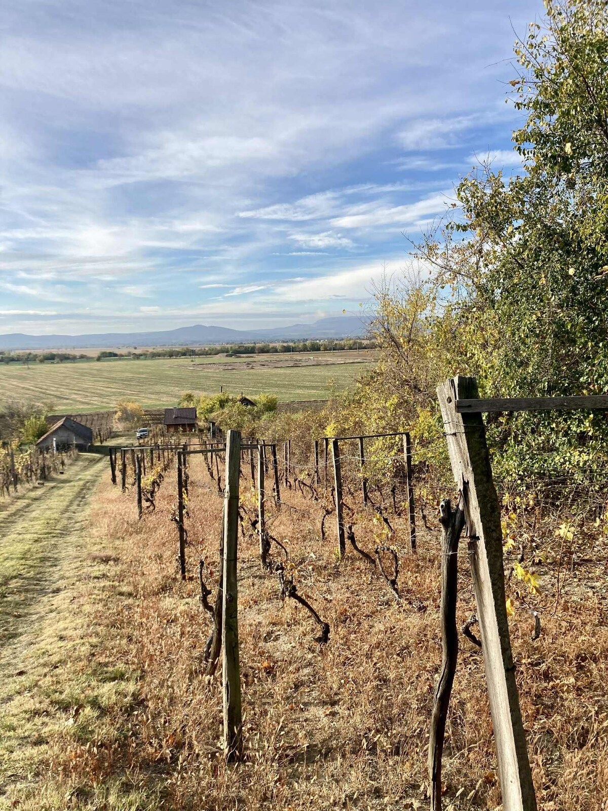 Vinica  – Kamenný Most, Hegyfarok – predaj, prípadne výmena  — foto 2