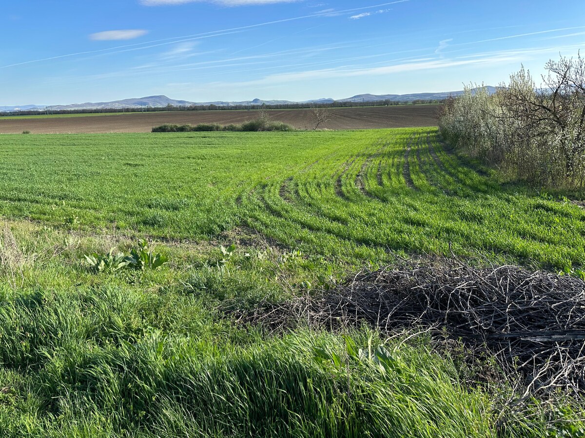 Vinica  – Kamenný Most, Hegyfarok – predaj, prípadne výmena  — foto 3
