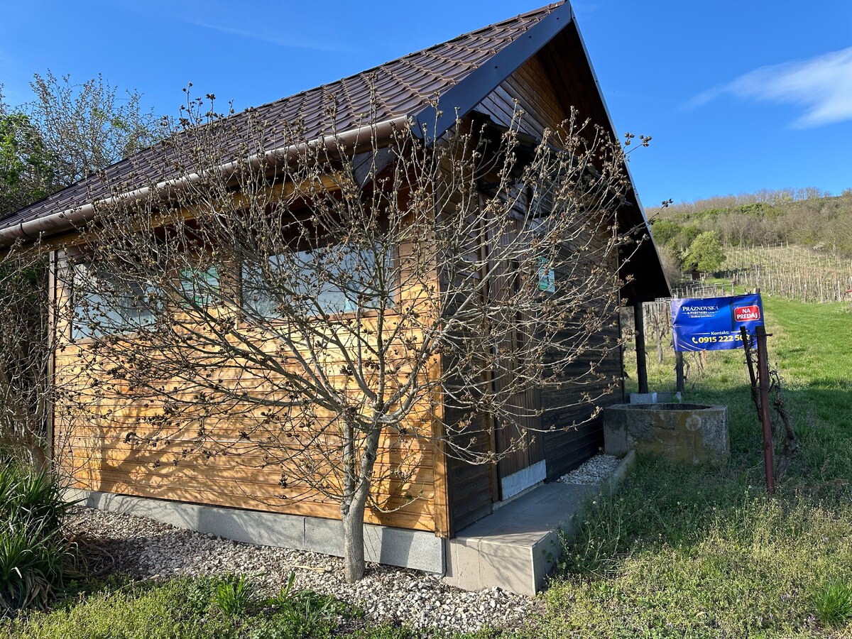 Vinica  – Kamenný Most, Hegyfarok – predaj, prípadne výmena  — foto 4