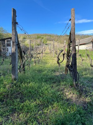 Vinica  – Kamenný Most, Hegyfarok – predaj, prípadne výmena  — foto 1