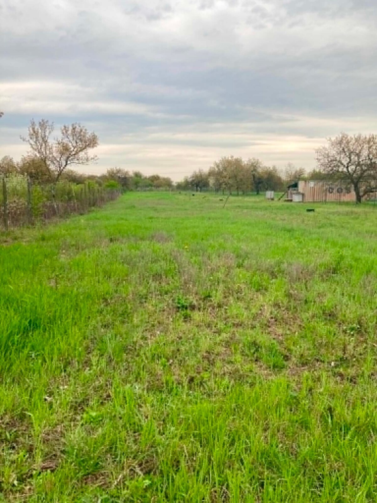 EXKLUZÍVNE – Na predaj slnečné rovinaté pozemky na Božom kopci v Štúrove - Možnosť kúpy samostatne aj ako investičný celok  — foto 2