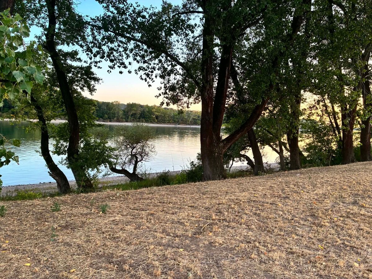 POZEMOK V BEZPROSTREDNEJ BLÍZKOSTI DUNAJA | CHĽABA | 325 m² | VÝNIMOČNÁ REKREAČNÁ LOKALITA — foto 5