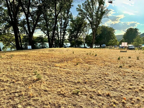 POZEMOK V BEZPROSTREDNEJ BLÍZKOSTI DUNAJA | CHĽABA | 325 m² | VÝNIMOČNÁ REKREAČNÁ LOKALITA