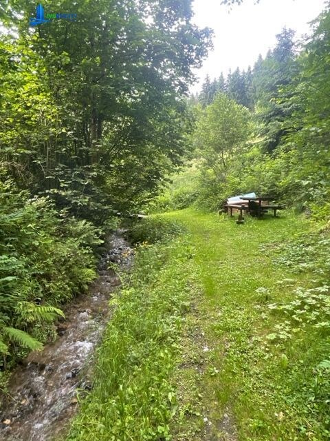 RD blízko centra Brezna - ideálny na chalupu - pozemok 3142 m2 — foto 6