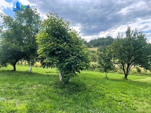 Pozemok s IS na stavbu RD v Brezne-Vrchdolinka s výhľadom na N. Tatry — foto 8