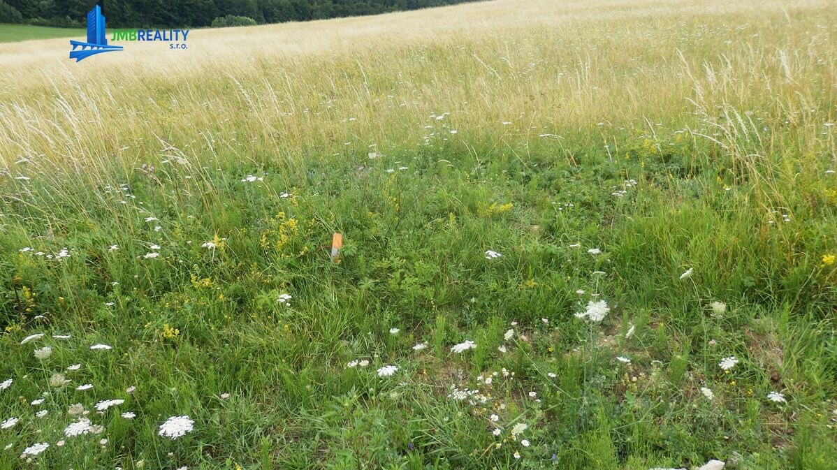 Exkluzívne na predaj – stavebný pozemok v Blatnici, časť Sebeslavce — foto 5