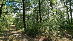 Fínsky zrub na samote Devičie, okres Krupina — foto 20