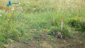 Exkluzívne na predaj – stavebný pozemok v Blatnici, časť Sebeslavce — foto 3