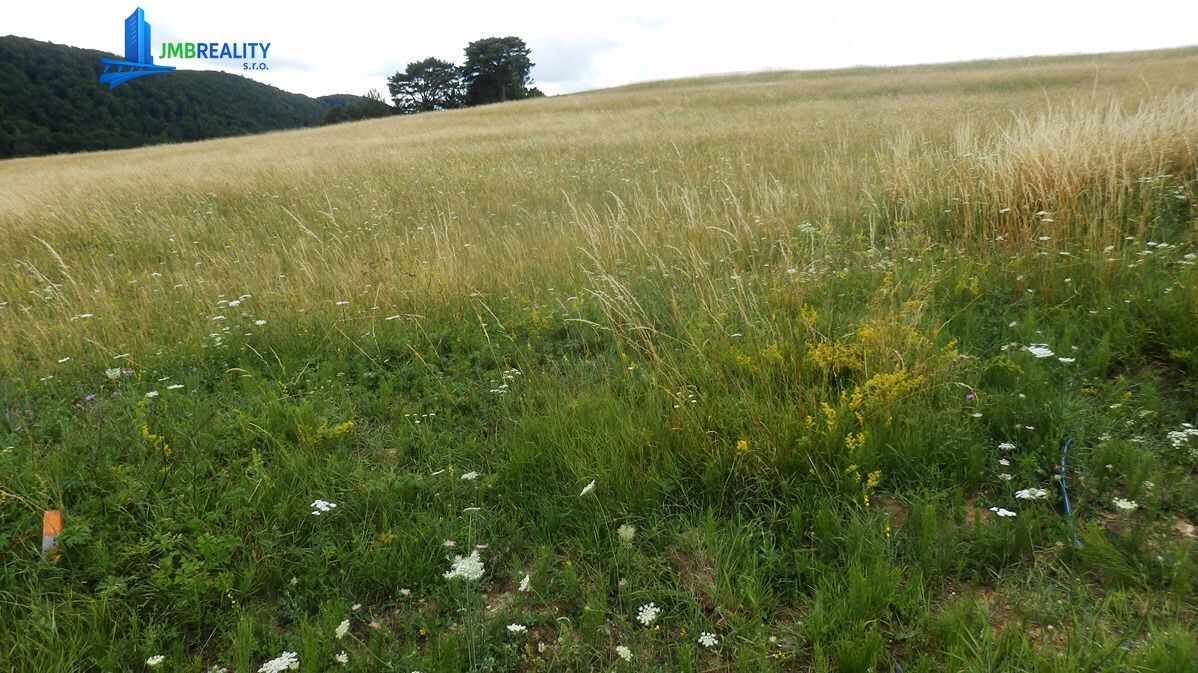 Exkluzívne na predaj – stavebný pozemok v Blatnici, časť Sebeslavce — foto 6